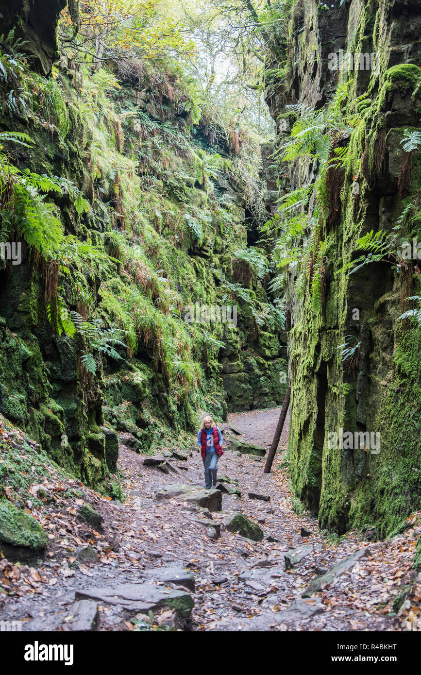 Lud`s Church is a deep chasm situated in the roaches area of North Staffordshire peak district
